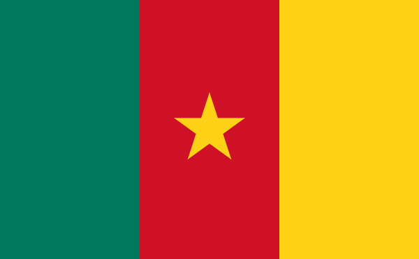 Королевство осуждает двойной теракт в Камеруне