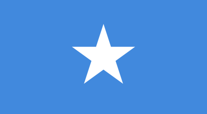 Служитель Двух Святынь обсудил недавние события с президентом Сомали