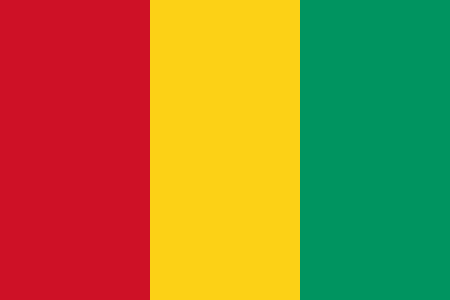 Заместитель Служителя Двух Святынь встретился с президентом республики Гвинея