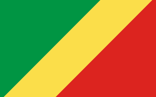 Служитель Двух Святынь  провёл официальные переговоры с президентом республики Конго
