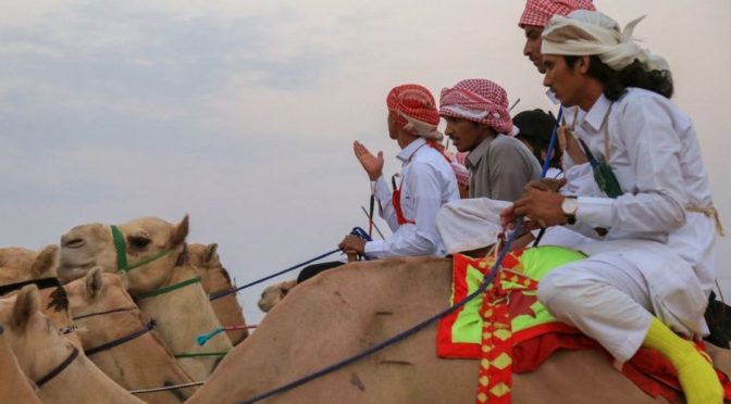 Фестиваль верблюдов наследного принца