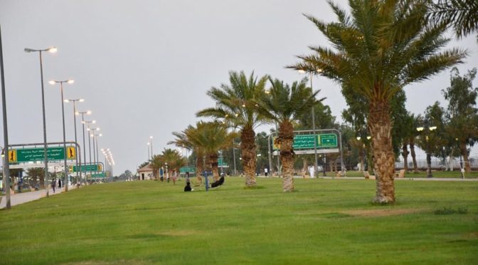 Муниципалитет округа Рафха подготовил 38 парков и скверов, 145 детских игровых площадок в преддверии Ид аль-адха