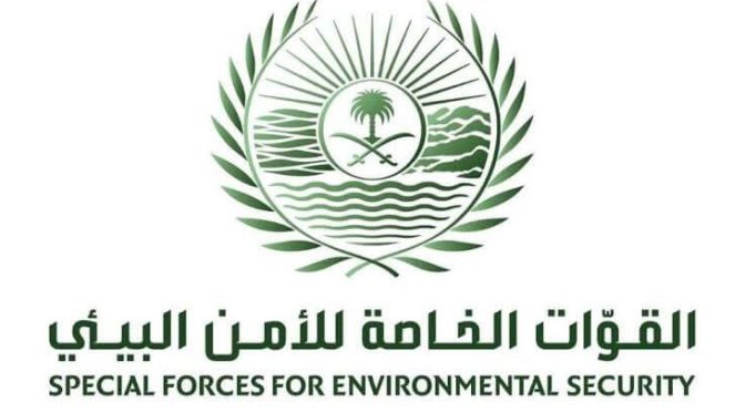 Специальные силы экологической безопасности конфисковали 70 тонн дров местного производства в г.Эр-Рияд