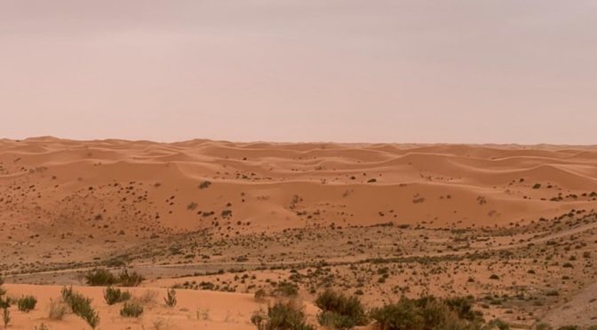 Оазис  Табука: дождевая вода, смешанная с песчаными дюнами создаёт живописную картину, привлекающую посетителей